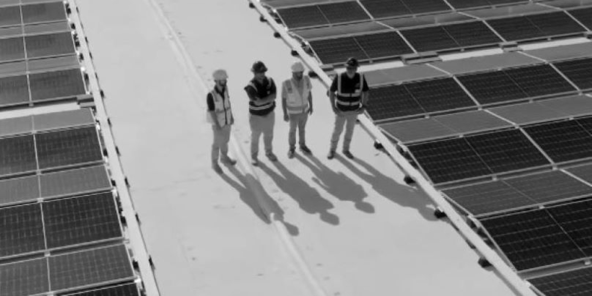 Why Proper Cold Storage is Crucial for Food & Beverage Industry