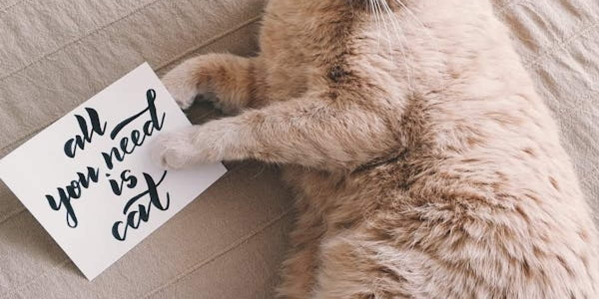 Cat Cards: The Ideal Way to Celebrate Your Love for Felines