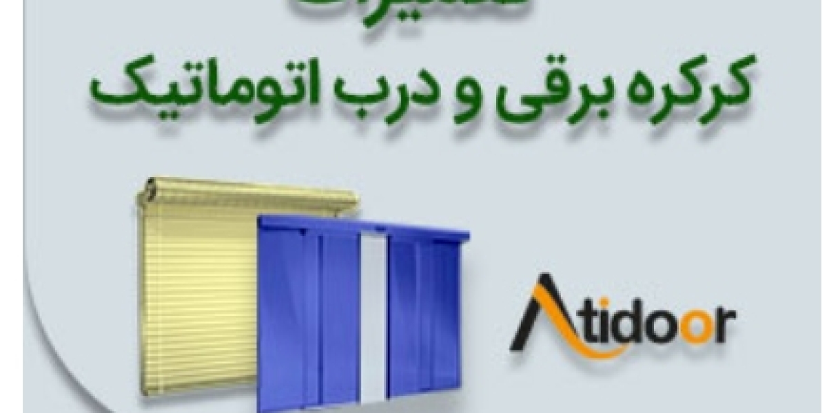 Everything You Need to Know About های بین