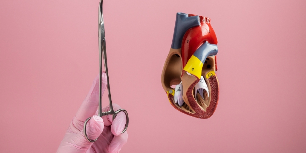 Coronary Artery Bypass Surgery in India – Effective Treatment of Heart Disease