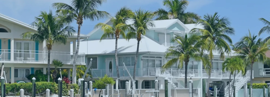 leo Roofing Cover Image
