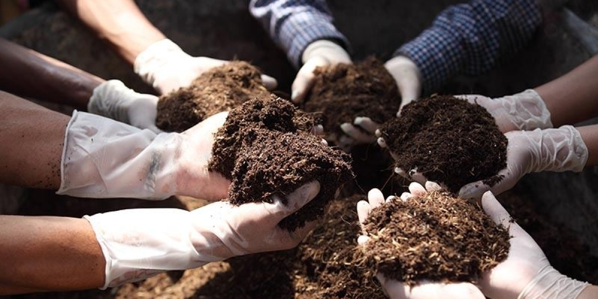 Key Water-Soluble Fertilizer Insights Chart