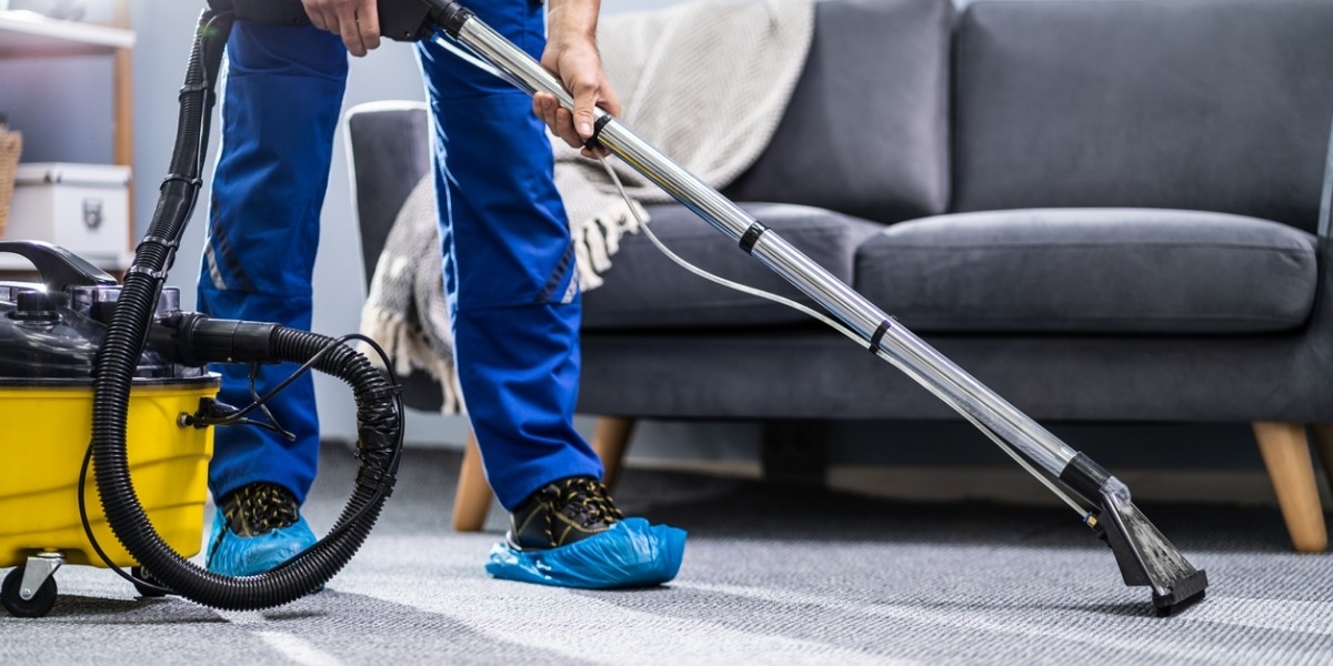 How to Remove Pet Hair from Carpets: Charlotte Cleaning Tips