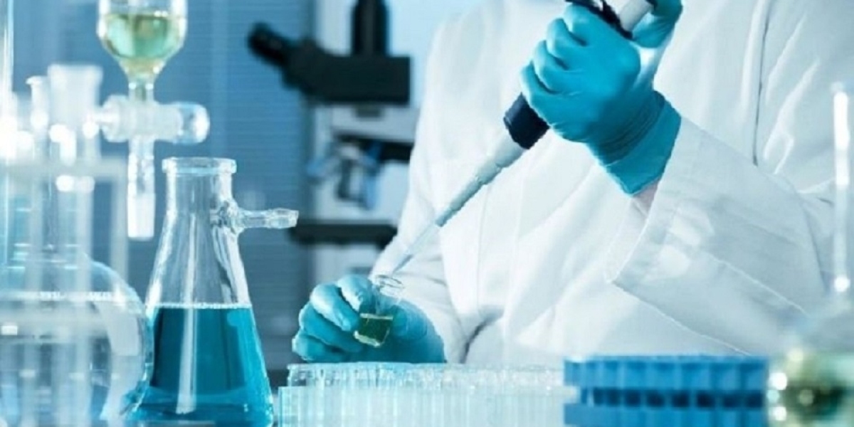 Methional Production Cost Analysis 2024, Price Trends, Profit Analysis and Raw Materials Costs