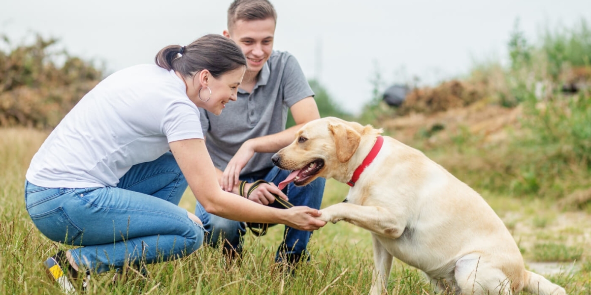 Pet Waste Management Services: Convenience for Busy Pet Owners