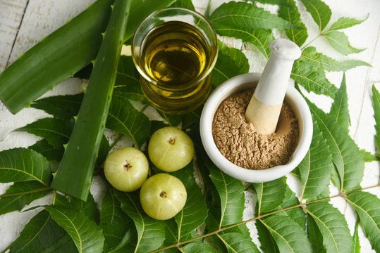 Ayurvedic Hair Fall Treatments | Ayurvedic Hair Care for Growth