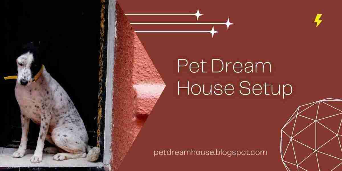 Pet Dream House Setup with Must Know Pet Care Tips and Cat House Ideas