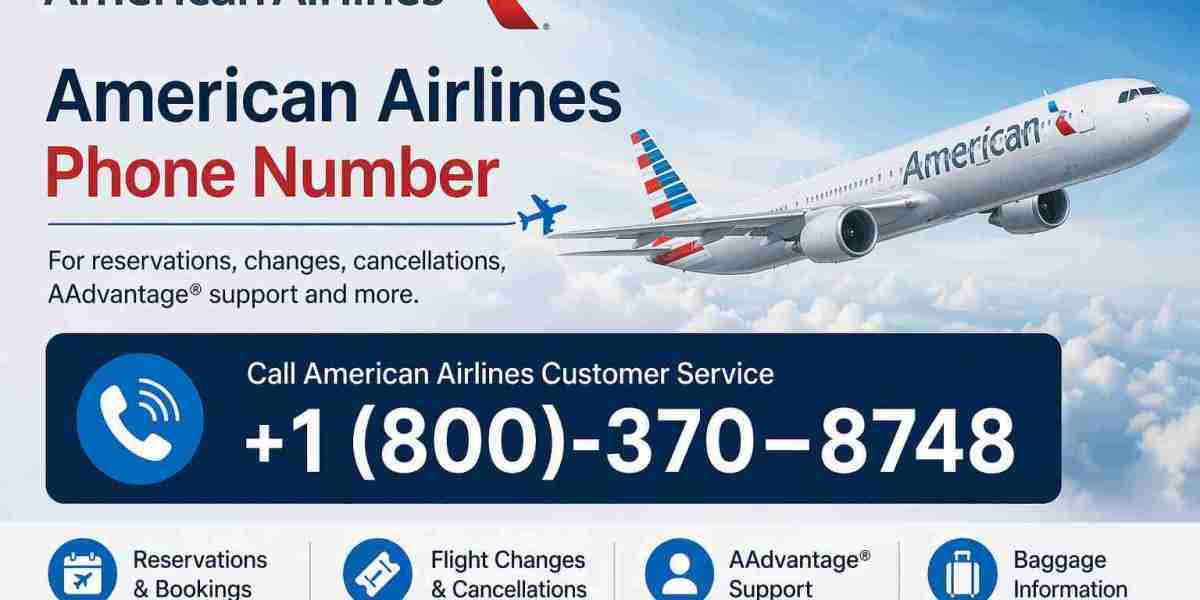 Complete Guide to American Airlines Customer Support and Contact Numbers
