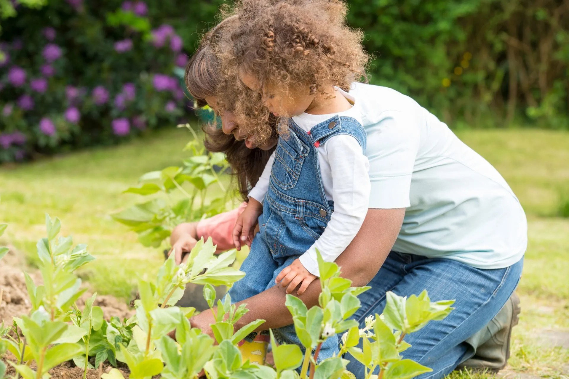 Professional Nanny Services in Tampa, FL | Tampa Bay Nannies