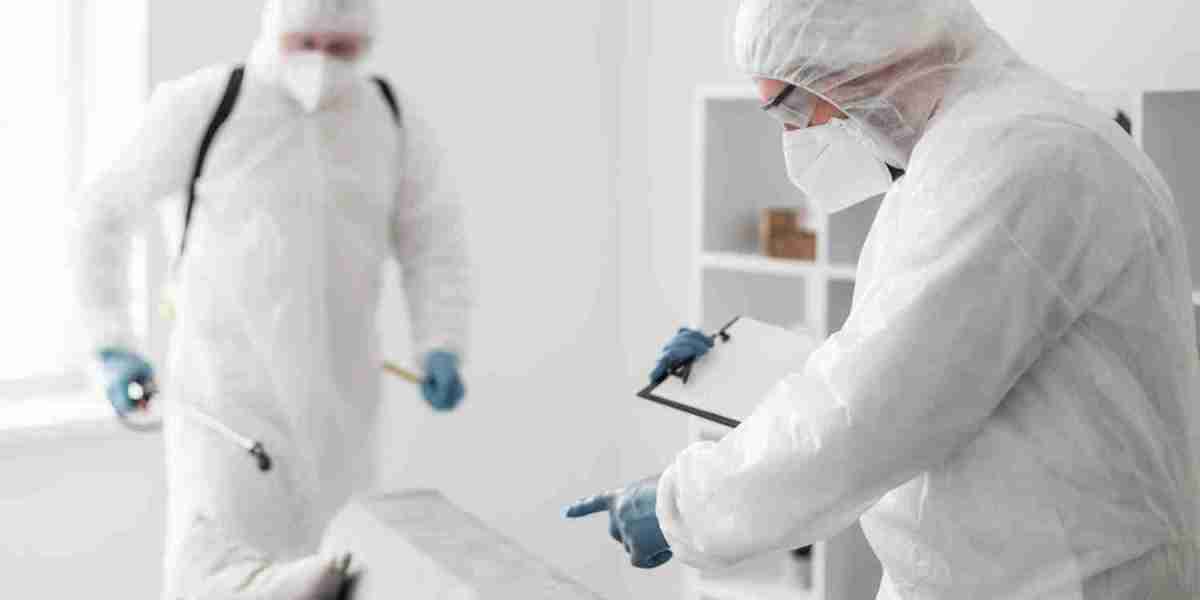 Reliable Residential Pest Control for Everyday Pest Problems