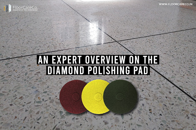 Whizolosophy | Everything You Need to Know About Floor Restoration Products