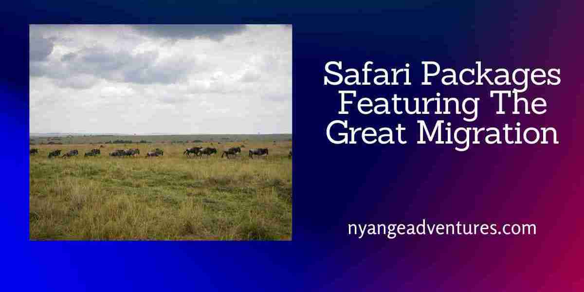 Incredible Best Tanzania Safari Packages Featuring The Great Migration