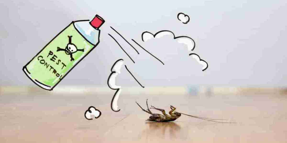 How a Pest Control Company in Winnipeg Protects Your Home Year-Round