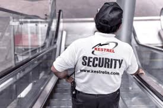 Industries That Benefit Most From Professional Security Services Article - ArticleTed -  News and Articles
