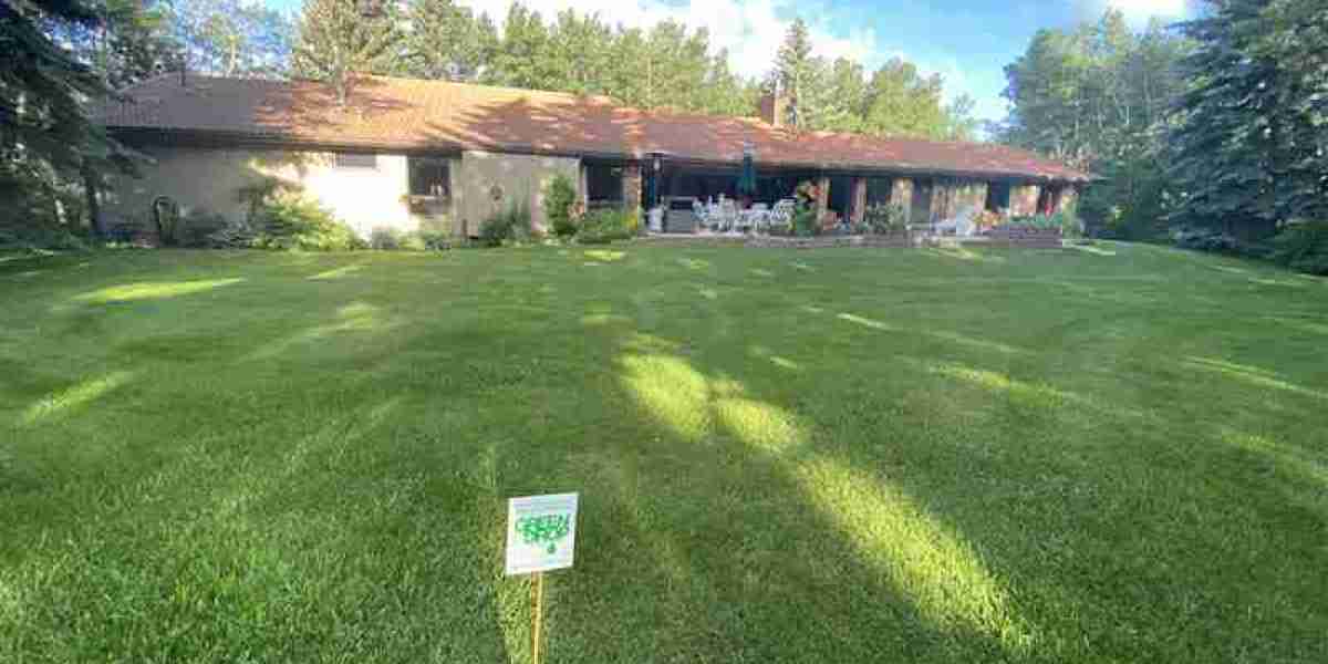 Finding the Best Weed Control in Regina for Your Lawn Care Needs